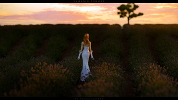 bride in the lavender garden (3d)