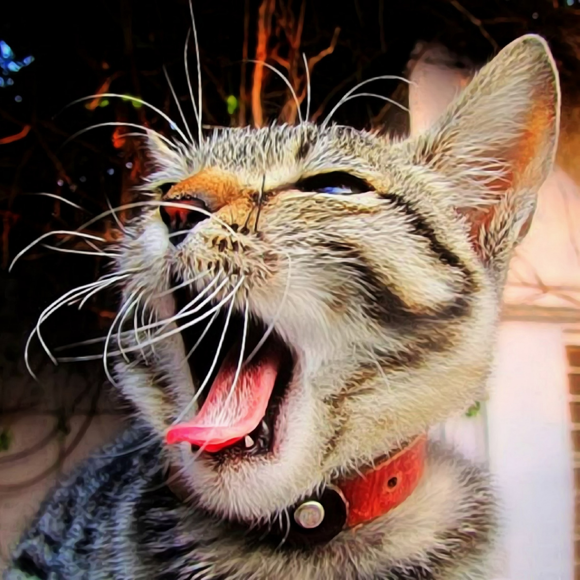 What a yawn!! 