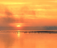 Nyskie Gölü, Polonya