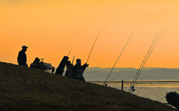 ... sabah balıkçılığı