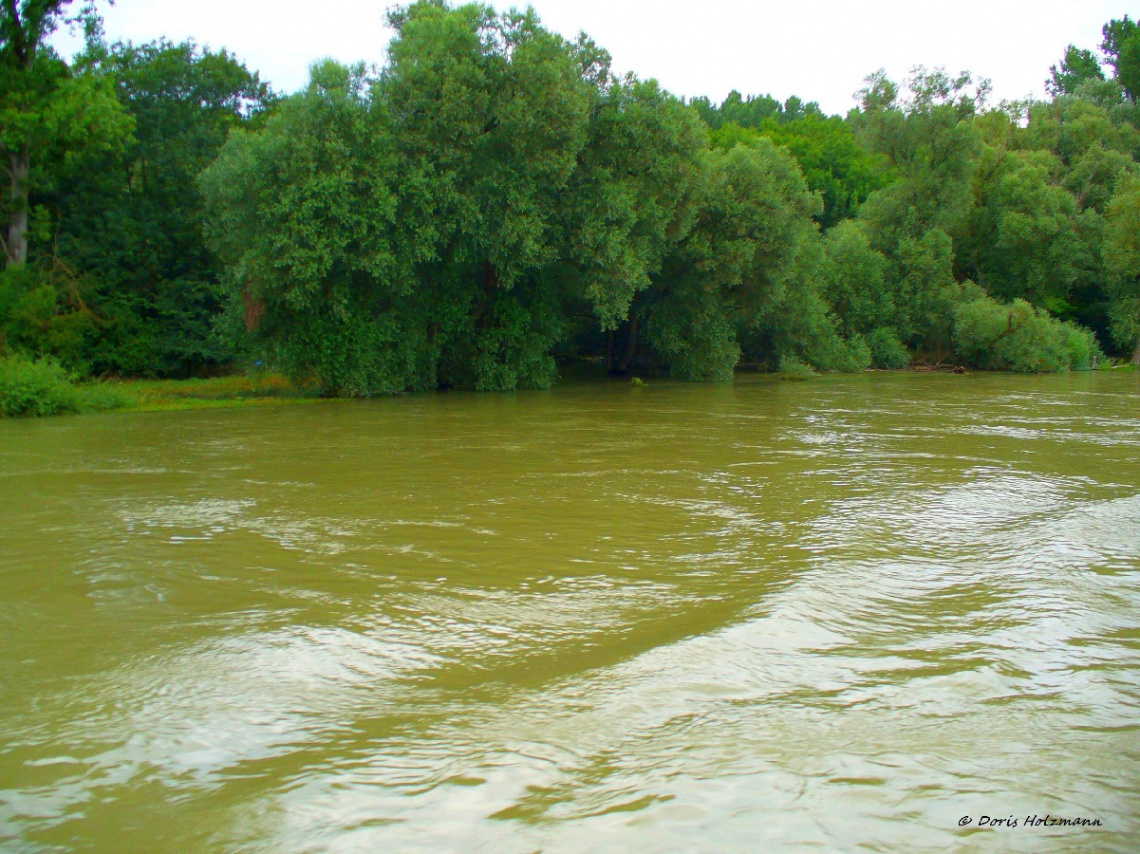Flooding on the Rhine 