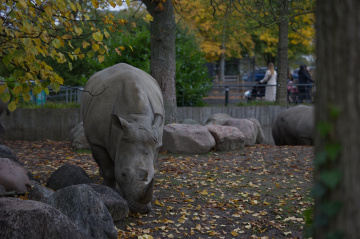 Zoo - København 2022.