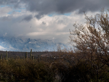 March 2023 Snow In The Sonoran Desert