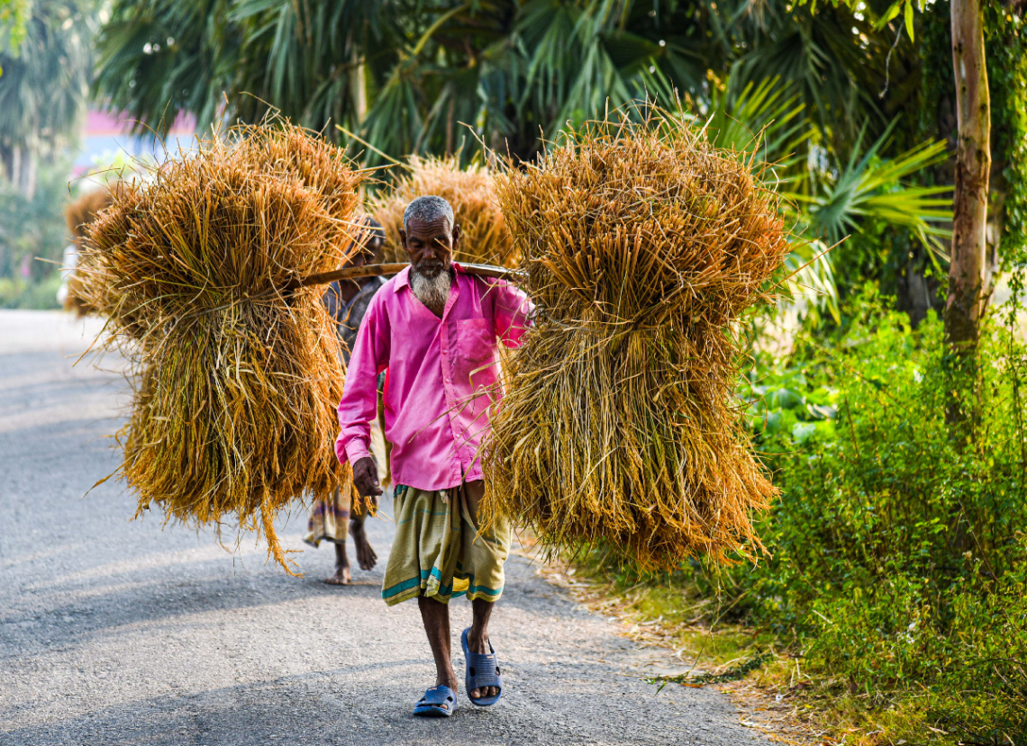 Bangladeshi Farmer