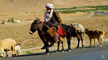 Birahui Nomad on the move ❤️⚜❤️