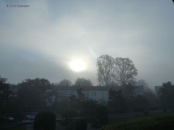 Morning mist, Karlsruhe / Germany
