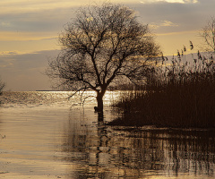 Akçalar - Ulubat Gölü
