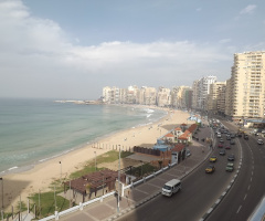 ِEgypt - Alexandria - sunny morning