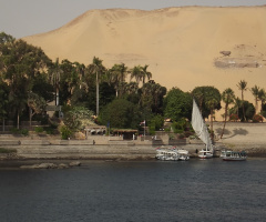 Egypt  -  Aswan - plant island