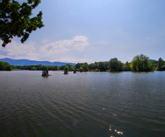 Fish pond - Black Water - Czech Republic