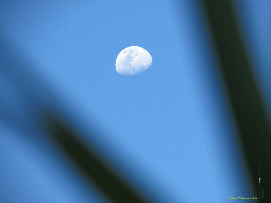 Moon In A Blue Sky !