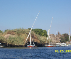 Egypt - Aswan - sail boats