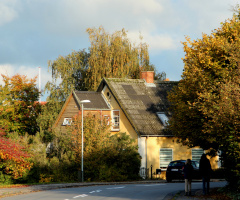 Danish House