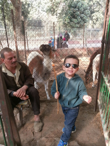 My grandson in the Zoo 
