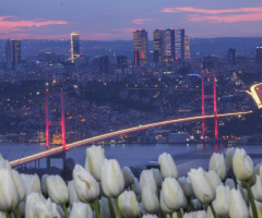 Laleler ve İstanbul