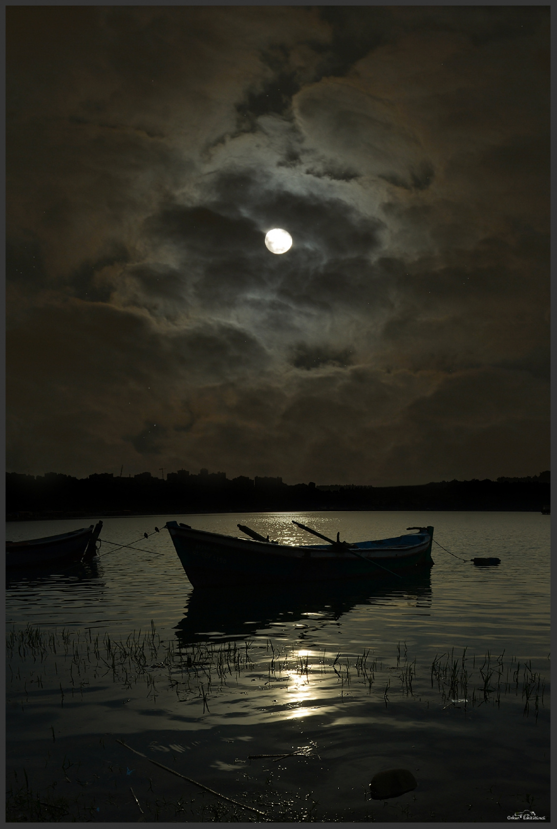 Moonlight on the Lake