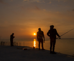Balıkçılar 