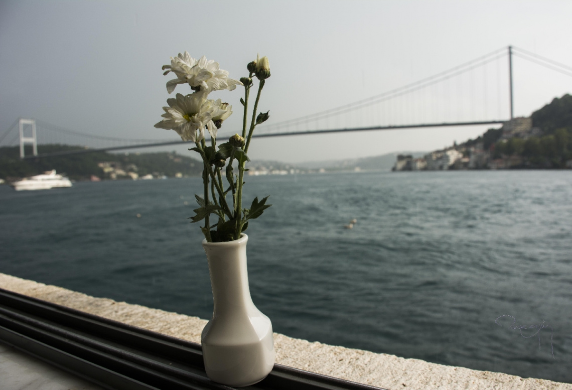 Çiçekler ve Boğaziçi / Flowers and Bosphorus