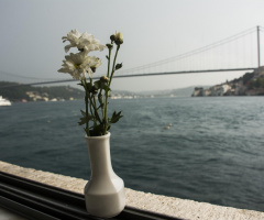 Çiçekler ve Boğaziçi / Flowers and Bosphorus