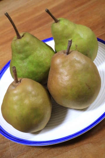 Two pair of pears