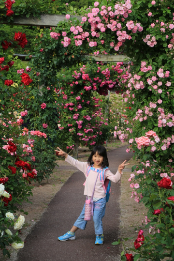 My daughter in the rose garden