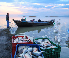 Balıkçılar, Manyas