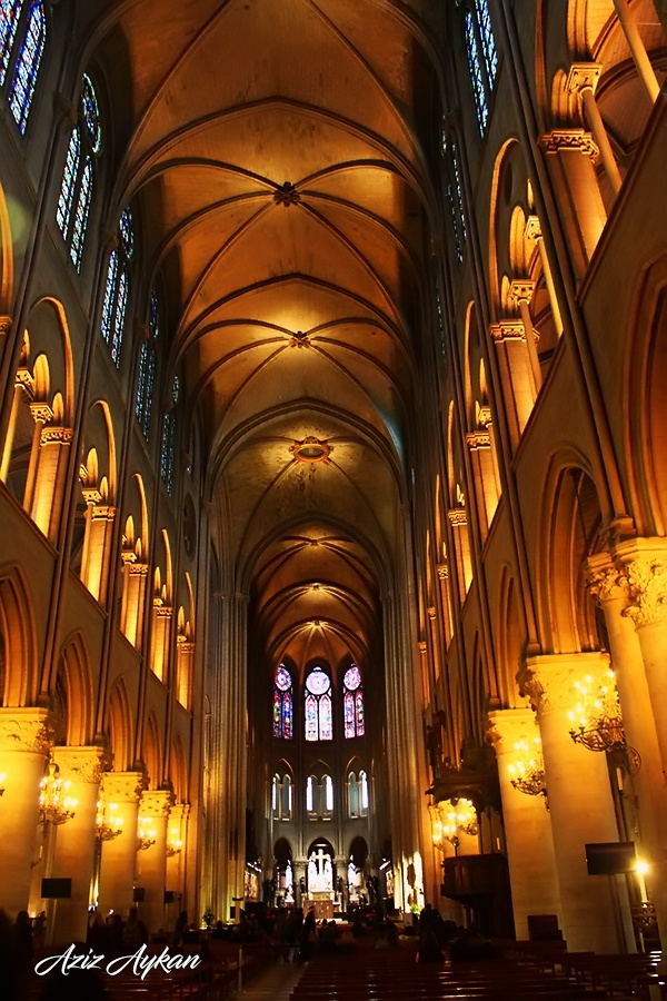 Notre Dame Katedrali  /  Paris