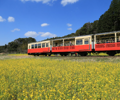 Spring train