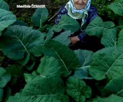 86 yaşında annem ve yetiştirmiş olduğu kara lahana