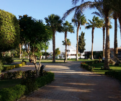 Egypt  - Hurghada  