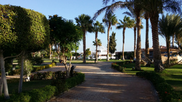 Egypt  - Hurghada  