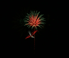 My 4th Of July Firework Humming Bird And Flower