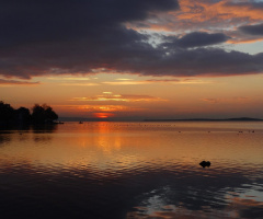 Gölyazı Günbatımı