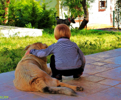 My friend, the dog ıs there. Let's go.. 
