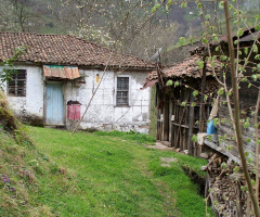 Karadeniz'de tipik köy evi