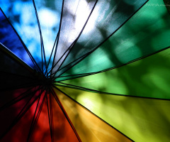 Rengarenk Şemsiye