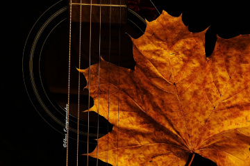  autumn melodies