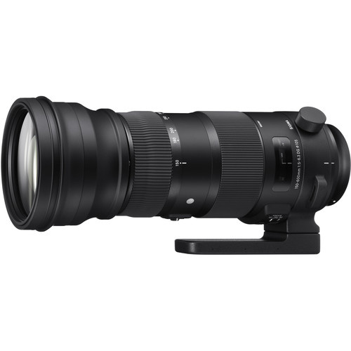 Sigma 150-600mm f/5-6.3 DG OS HSM